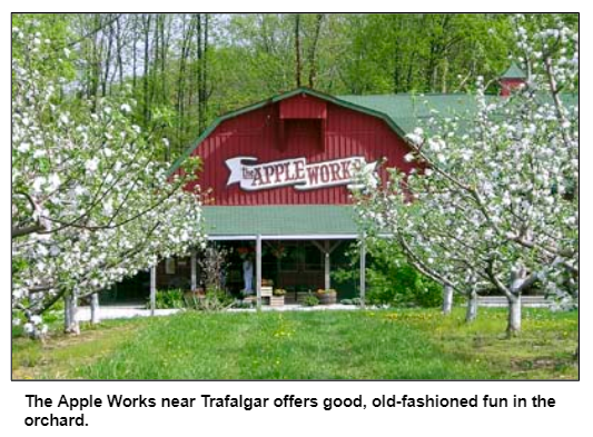 The Apple Works near Trafalgar offers good, old-fashioned fun in the orchard.