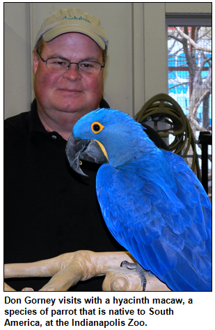 Don Gorney with a hyacinth macaw.