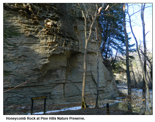 Honeycomb Rock at Pine Hills Nature Preserve.
