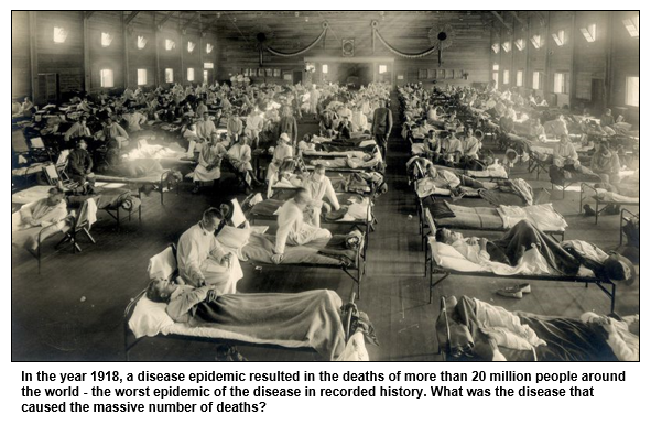 In the year 1918, a disease epidemic resulted in the deaths of more than 20 million people around the world - the worst epidemic of the disease in recorded history. What was the disease that caused the massive number of deaths?
