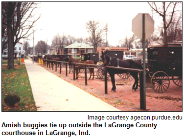 Amish buggies tie up outside the LaGrange County courthouse in LaGrange, Ind. Image courtesy agecon.purdue.edu.