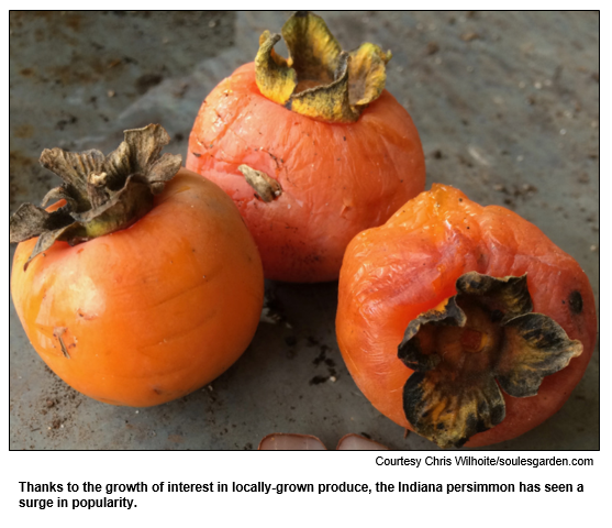 Thanks to the growth of interest in locally-grown produce, the Indiana persimmon has seen a surge in popularity.  
Courtesy Chris Wilhoite/soulesgarden.com